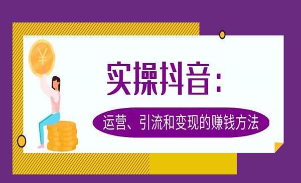 抖音运营实战分析： 运营、引流和变现的赚钱方法